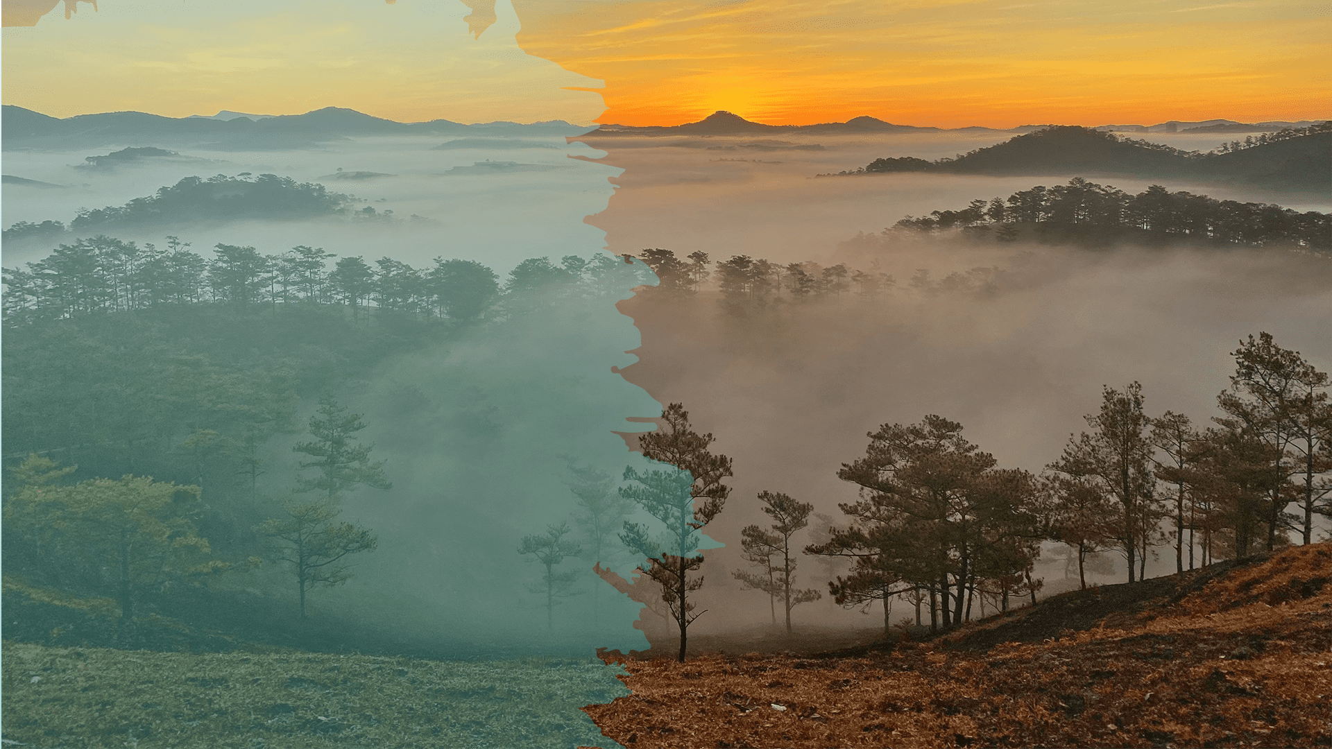 Da Lat